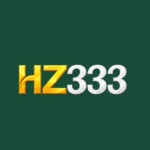 Featured image for the HZ333 Game guide