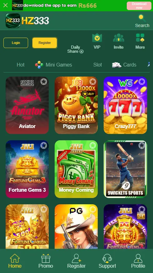 Supporting image for the HZ333 Game guide