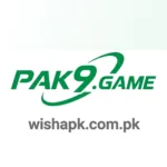 PAK9 Game
