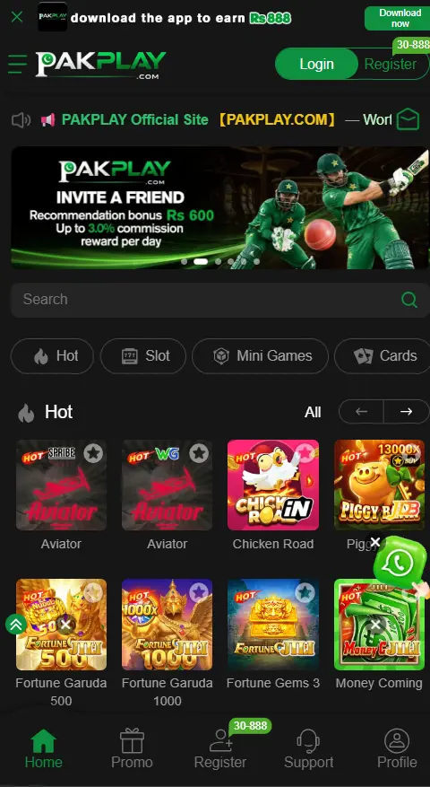 PakPlay Game